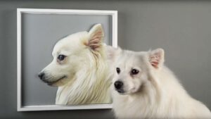 Photorelief alternatief voor bronzen beeld en plaquette